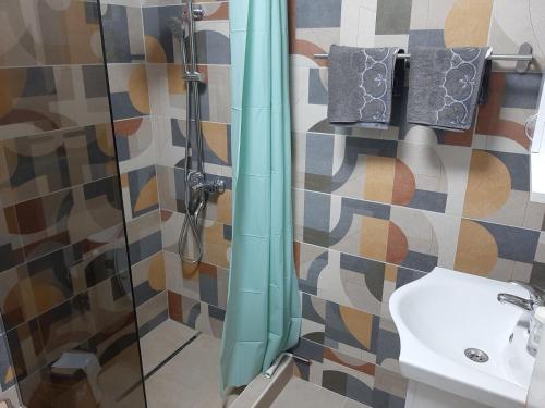 Koupelna v ubytování Ime Ruze apartmani Banja Vrujci