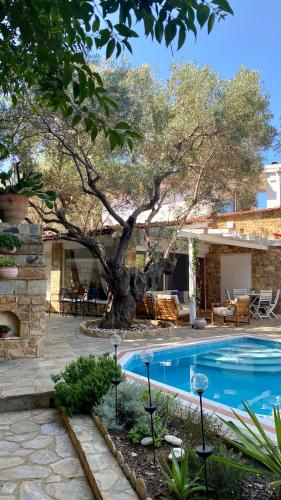 Villa eco Electra