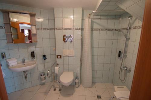 ein Bad mit einer Dusche, einem WC und einem Waschbecken in der Unterkunft Schloss Zehdenick in Zehdenick