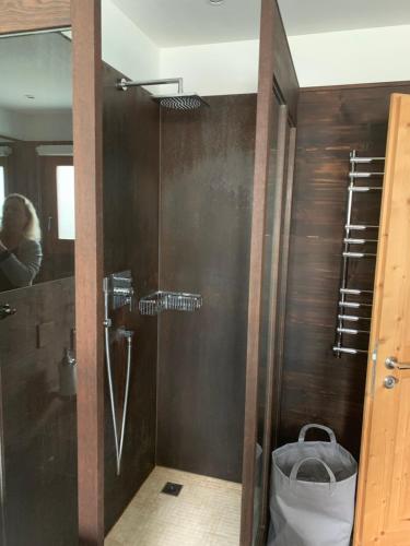 łazienka z prysznicem i osobą w lustrze w obiekcie chesa collina w mieście Pontresina