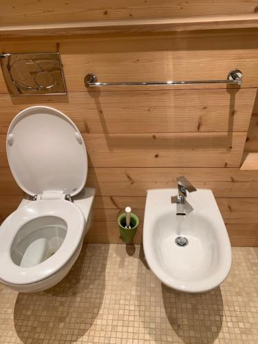 łazienka z toaletą i umywalką w obiekcie chesa collina w mieście Pontresina