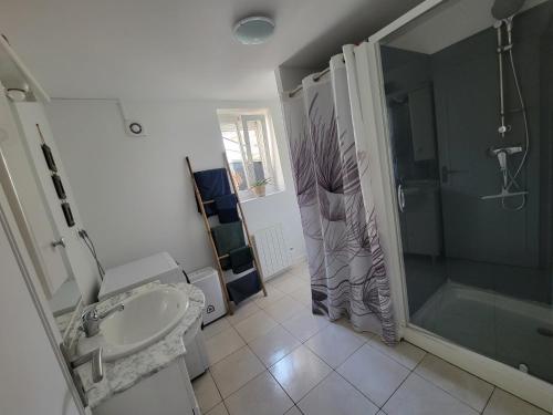 uma casa de banho com um lavatório, um chuveiro e um WC. em Appartement avec terrasse em Gaillon