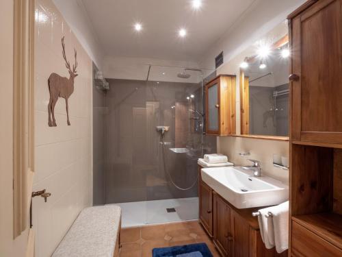 La salle de bains est pourvue d'une douche et d'un lavabo. dans l'établissement Chalet Grizzly, à Ellmau