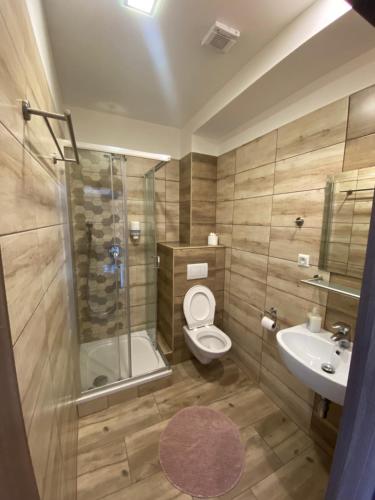 W łazience znajduje się prysznic, toaleta i umywalka. w obiekcie Penzion Teplanka w Powaskiej Bystrzycy