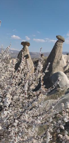 a pile of trash on top of a mountain at Peruna Cave in Goreme
