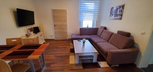 ein Wohnzimmer mit einem Sofa und einem Tisch in der Unterkunft VILLA LINDENECK BUSiNESS in Bernburg