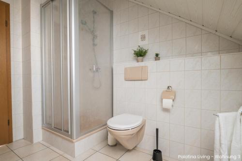 La salle de bains est pourvue d'une douche et de toilettes. dans l'établissement Palatina Living, à Fischbach