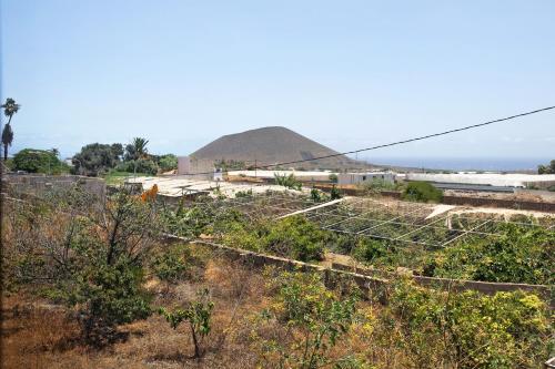 a view of a field with a mountain in the background at Las Tres Palmeras in Güimar