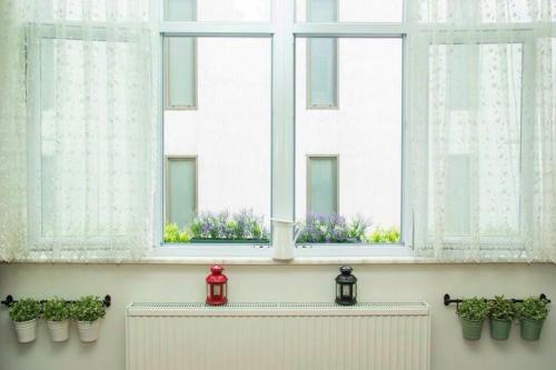 una finestra con piante in vaso e una candela rossa di Luxury Apartment in the center of Istanbul a Istanbul