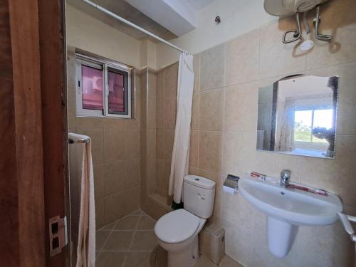 Moshi Leopard Hotel في موشي: حمام مع مرحاض ومغسلة