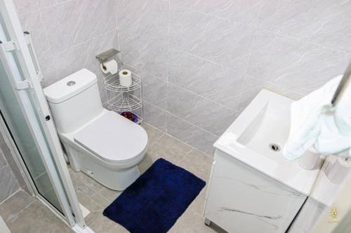 een badkamer met een wit toilet en een wastafel bij Stunning Studio apartment in Kileleshwa in Nairobi
