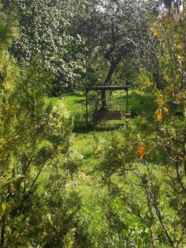a bench in a field of grass with trees at White house Dsegh in Dsegh