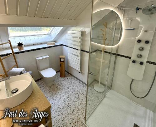 La salle de bains est pourvue d'une douche, de toilettes et d'un lavabo. dans l'établissement Part des Anges - Gîte Hautvillers, à Hautvillers