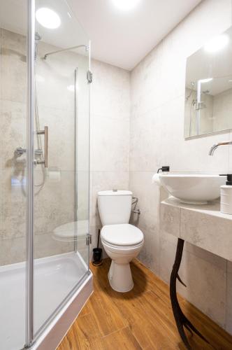 a bathroom with a toilet and a sink and a shower at Dom Tatrzański Ewa II in Kościelisko