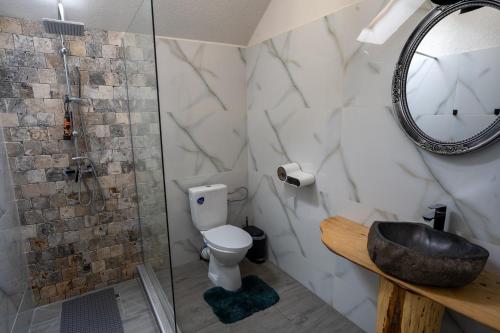 a bathroom with a shower and a toilet and a sink at Bârlogul Vikingilor in Şotrile