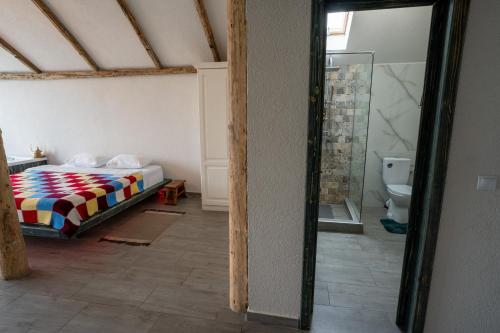 a bedroom with a bed and a toilet in a room at Bârlogul Vikingilor in Şotrile