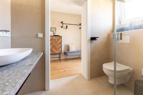uma casa de banho com um WC e um lavatório em Spitz Deluxe em Sankt Johann im Mauerthale
