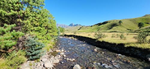 a river in the middle of a field with trees at Gooderson Drakensberg Gardens Golf & Spa Resort in Drakensberg Garden