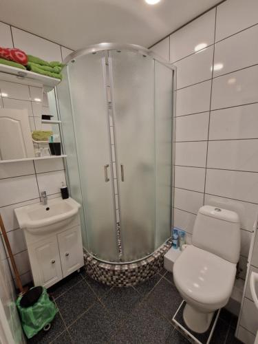 une salle de bain avec une douche, des toilettes et un lavabo dans l'établissement Lima C, à Druskininkai