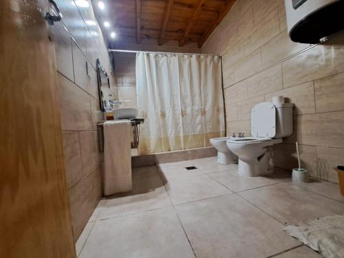 a bathroom with a toilet and a sink at AMANECER DORADO - Cabaña en Tunuyán in Tunuyán