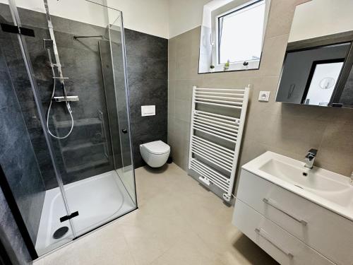 y baño con ducha, aseo y lavamanos. en Apartmány DEER House, en Hodkovice nad Mohelkou