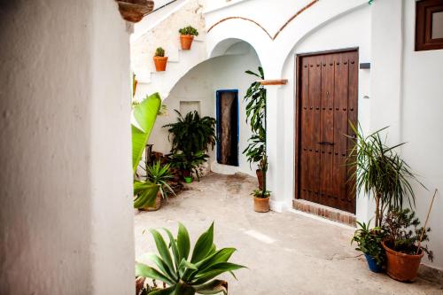 18 - EL PATIO DE COMENDADOR - ENJOY TARIFA
