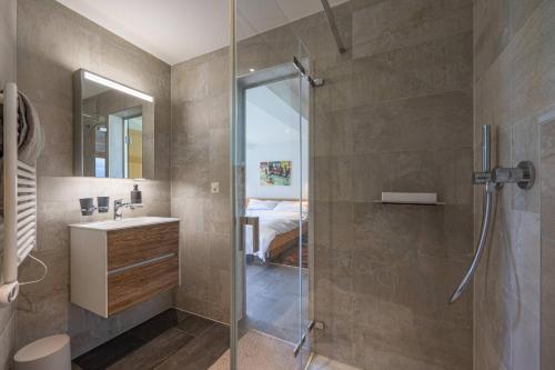 une salle de bain avec douche et lavabo dans l'établissement Chalet La Vue, pet friendly 10 pers, amazing view, à Nendaz