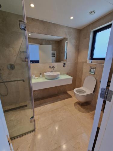 y baño con aseo, lavabo y ducha. en Luxury 6 bedrooms villa in Cyprus, en Paphos