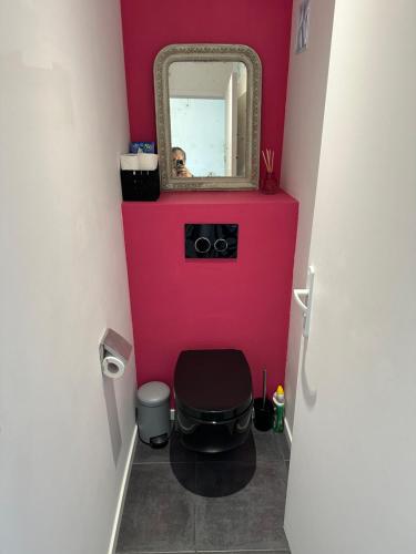 a bathroom with a pink wall and a mirror at mazet proche de st Tropez in Cogolin