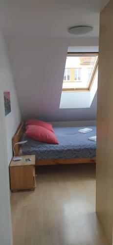 a bed with a red pillow and a window in a room at Nowowiejskiego 11a in Olsztyn