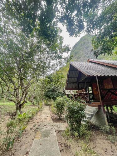 a dirt road next to a building with a tree at Khao Sok Green Mountain View in Khao Sok