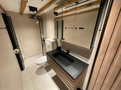 a bathroom with a sink and a toilet at Lofoten Planet Studio in Sørvågen