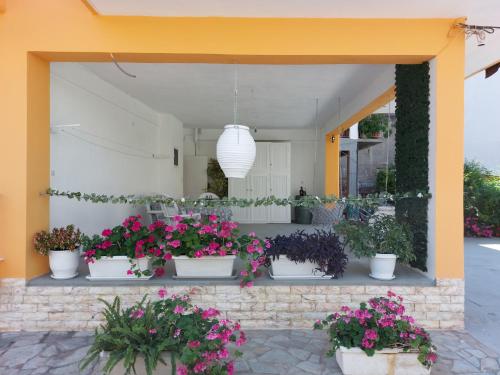 a group of potted plants on a patio at Oranje Guesthouse in Itea