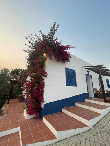 a building with purple flowers on the side of it at Montes de Charme (AL 6288) in Avis