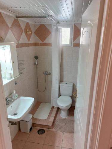 a bathroom with a toilet and a sink at Oranje Guesthouse in Itea
