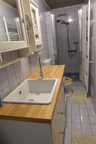 a bathroom with a sink and a shower at Alla in Kittsee