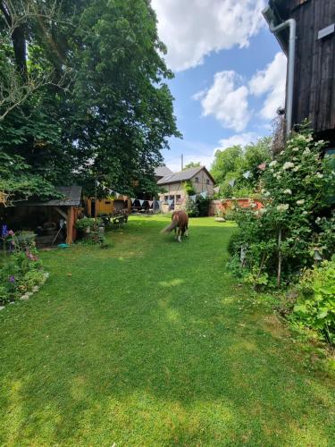 a horse standing in the grass in a yard at Ankommen, Wohlfühlen und die Natur genießen in Lichtenhain