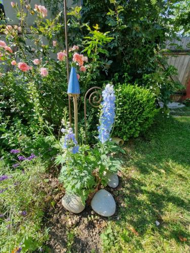 a garden with some flowers and a blue object at Ankommen, Wohlfühlen und die Natur genießen in Lichtenhain