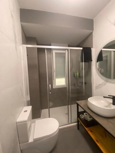 a bathroom with a shower and a toilet and a sink at Apartamento TROMPETA !!PARKING PRIVADO GRATUITO!! in Logroño