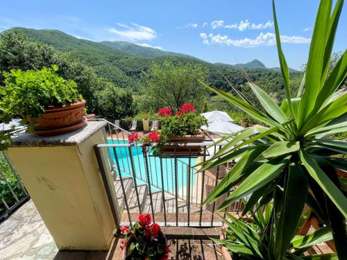 a balcony with potted plants and flowers on it at Torretta sleeps 5 with pool and exclusive gardens plus private verandah in Strettura