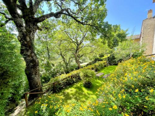 a garden with yellow flowers and a tree at Torretta sleeps 5 with pool and exclusive gardens plus private verandah in Strettura