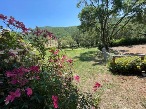 a garden with flowers and a bench in the grass at Torretta sleeps 5 with pool and exclusive gardens plus private verandah in Strettura