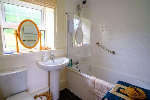 une salle de bain avec un lavabo, des toilettes et un miroir dans l'établissement Lakeside Cottage, à Carmarthen