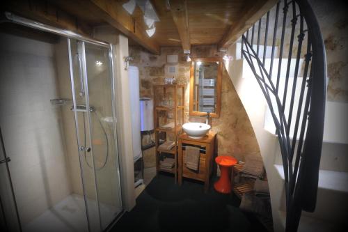 a bathroom with a walk in shower and a sink at Clos Moulin Du Cadet in Saint-Émilion