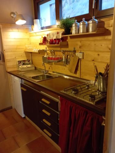 eine kleine Küche mit einer Spüle und einem Herd in der Unterkunft Adamello in Aprica