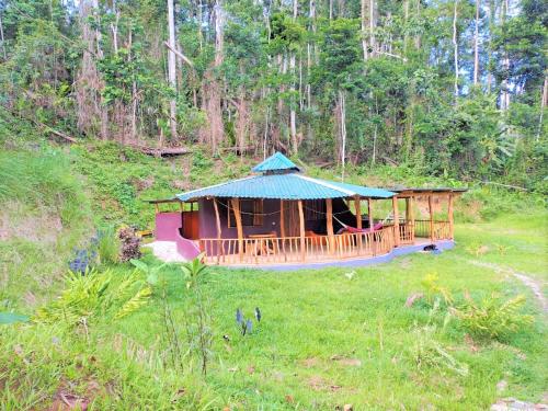 a gazebo with a green roof in a field at Terra NaturaMa - off grid living in the jungle in Punta Uva