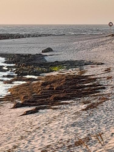 a group of rocks on a beach near the water at Casa da Varanda in Carreço