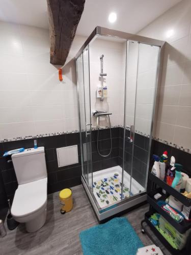 La salle de bains est pourvue d'une douche, de toilettes et d'un tapis. dans l'établissement Chambre privative dans ferme rénovée à 7mn de Périgueux, à Champcevinel