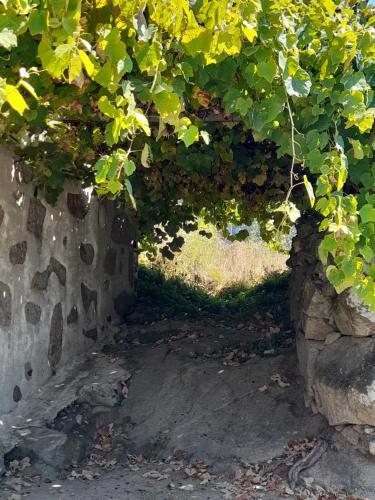 an entrance to a stone wall with a tree at Casa da Varanda in Carreço