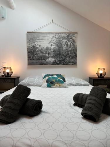 a bedroom with two beds with black pillows on them at l'Escapade Seysselane in Seyssel
